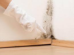 Best Residential Mold Inspection & Testing  in Cullman, AL